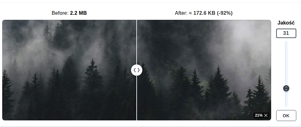 Porównanie zoptymalizowanych zdjęć